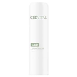 CBD Vital CBD Bio Kosmetik Lippenbalsam